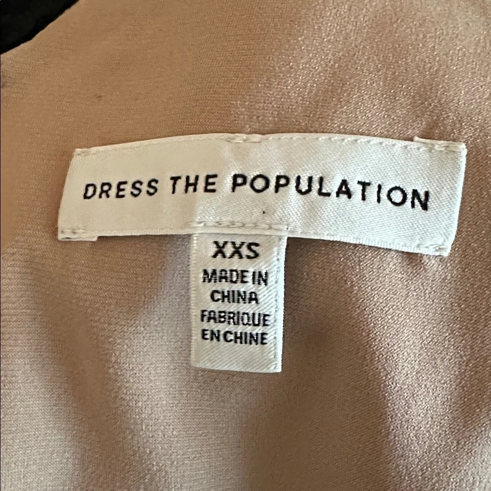 Dress the Population Sidney Black Floral Lace bodycon sheer lace XXS Maxi Dress - Picture 13 of 16